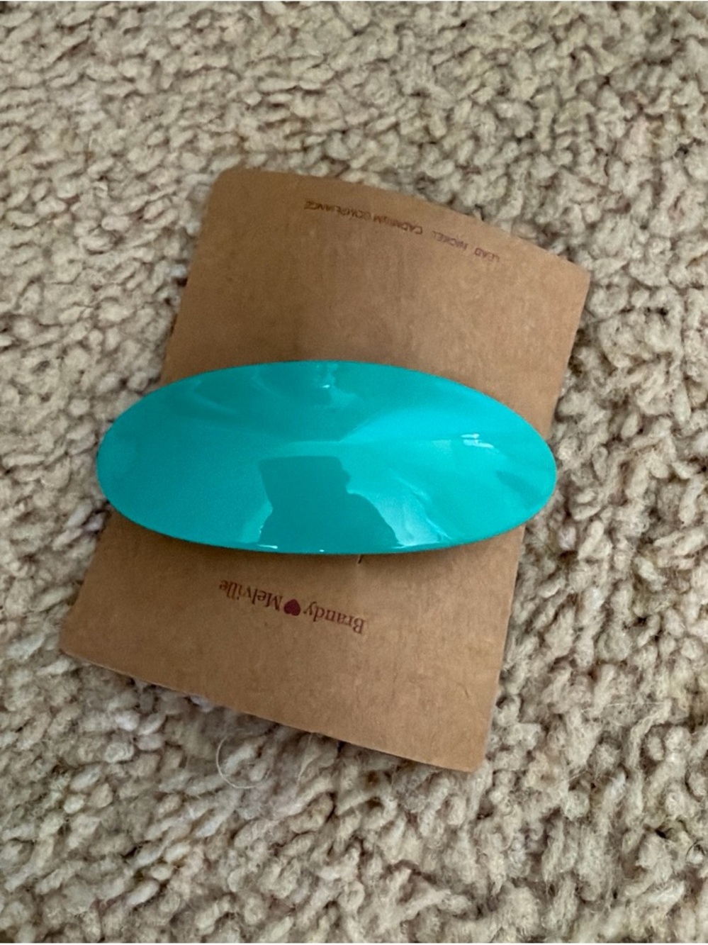Brandy melville teal hair claw clip